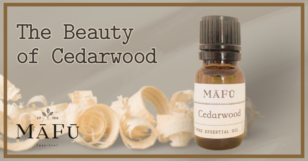 What Does Cedarwood Oil Smell Like?