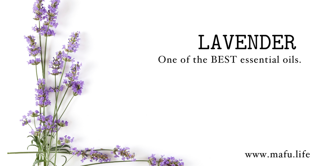One of The Best: Lavender Essential Oil