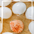 Close-up of white seashell compacts containing solid perfumes, showcasing eco-friendly and natural fragrance packaging.