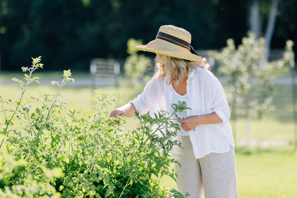 Why Do Plants Produce Essential Oils?